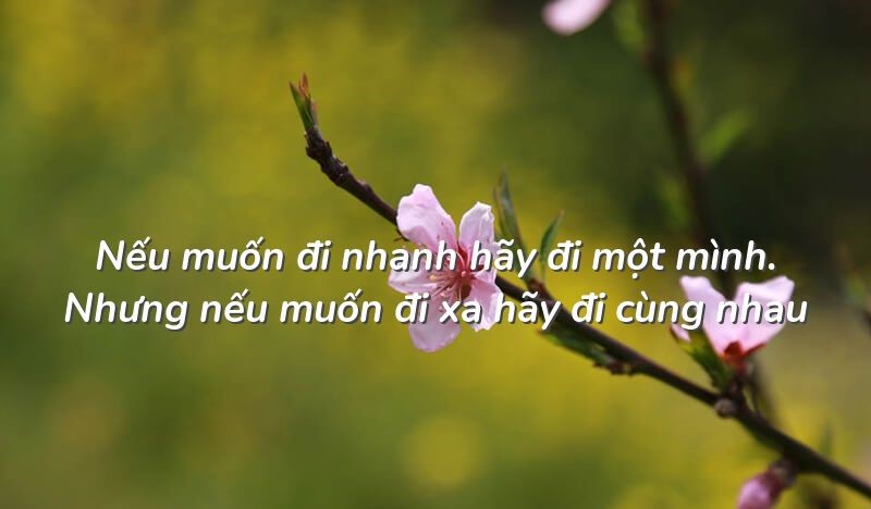 Muốn đi nhanh hãy đi một mình muốn đi xa hãy đi cùng nhau