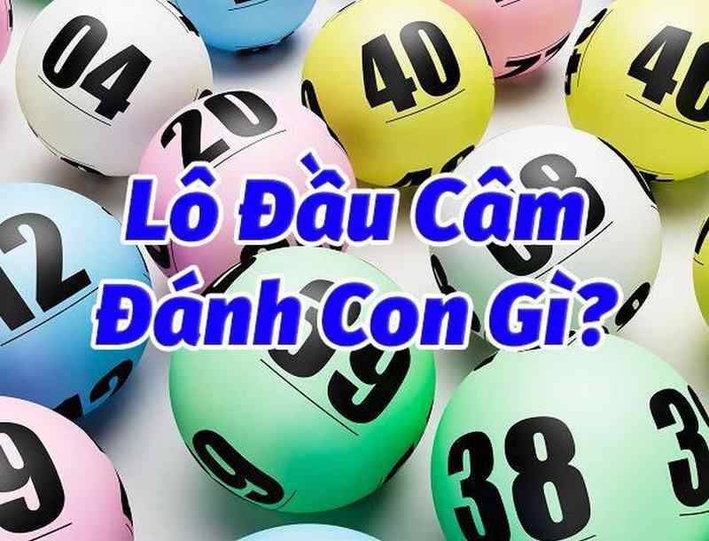 lô đầu câm sẽ đánh những con gì?